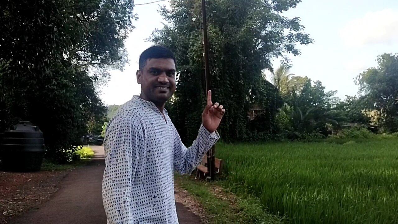 Village life and Mango trees