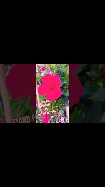 Good Morning #blackyoutube