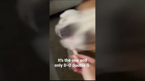 MEME is the one and only D-O double G #shorts