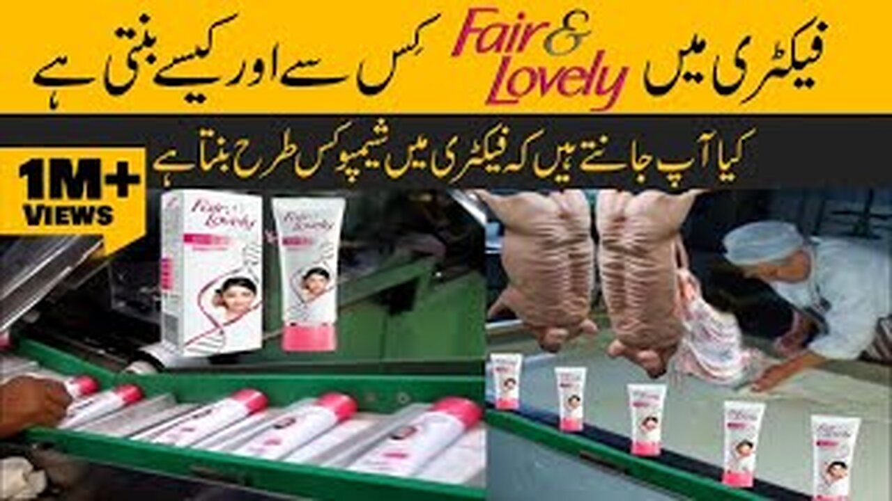 فیکٹری میں چیزےکسیے تیار کی جاتی ہے |Do you know How Products are made in factories Door Bini
