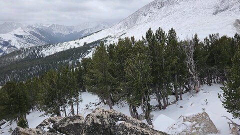 Montana Skyline