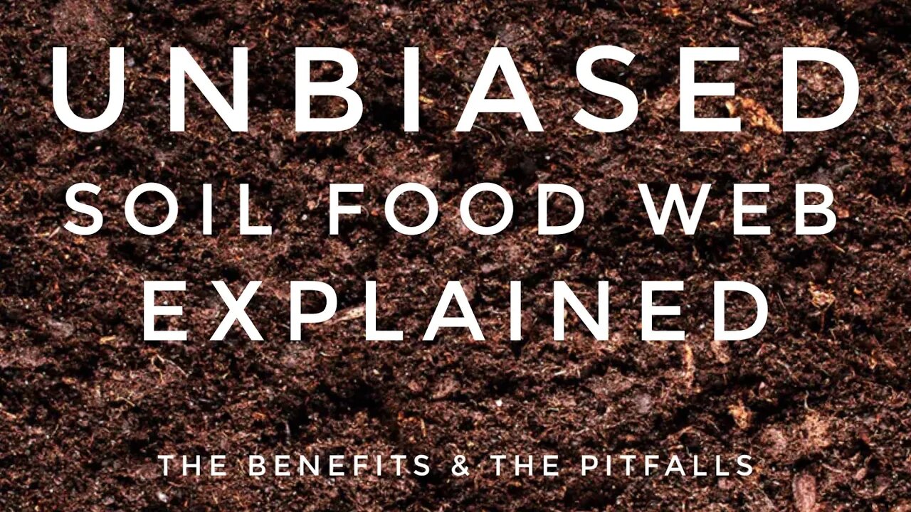 SOIL FOOD WEB EXPLAINED BY A SOIL SCIENTIST. THE BENEFITS OF THE SOIL FOOD WEB CONCEPT. 🌱👩‍🔬