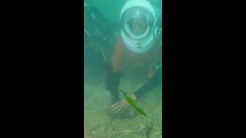 PRIME MINISTER NARENDRA MODI DOING SCUBA DIVING