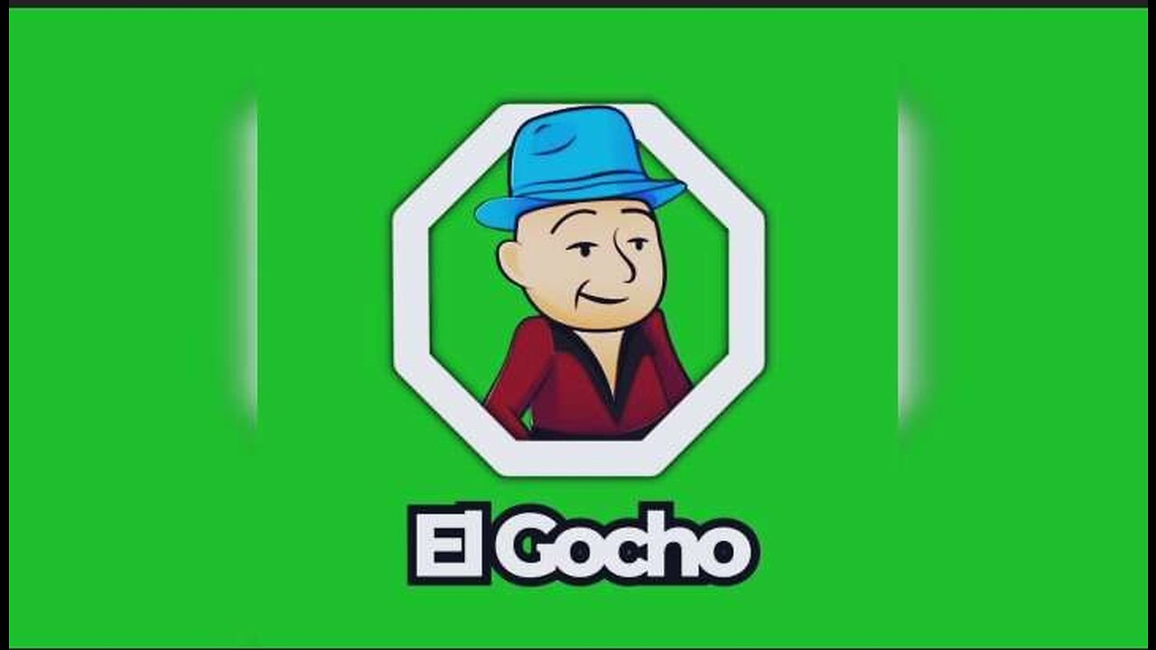 Ninguno de estos cobardes me representa [no tenemos representación] - El Gocho