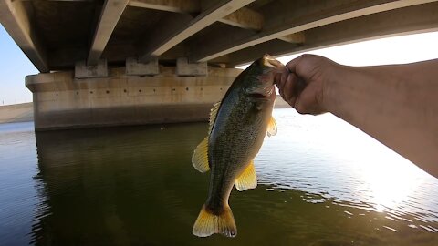 A Day of Fishin