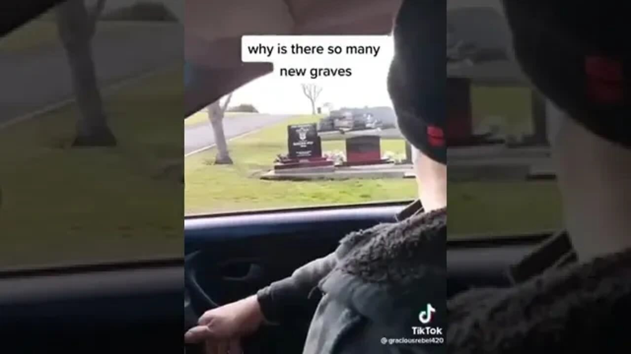 Oamaru, Nz: Lots of fresh Graves in one small town in NZ.How more obvious do things need to get?