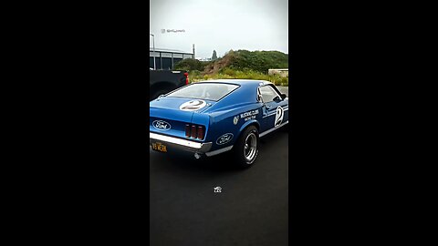 Mustang