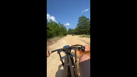 Dog cause me to crash! DISCLAIMER:”No animals were injured”
