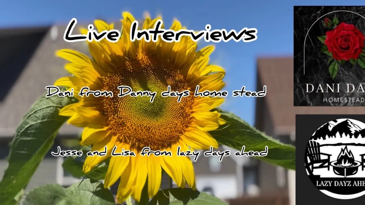 Interview with lazy dayz #hedgehogshomestead #layzdayzahead