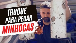 Como coletar minhocas DE FORMA FÁCIL - TRUQUE SIMPLES | Minhocas Belo Horizonte