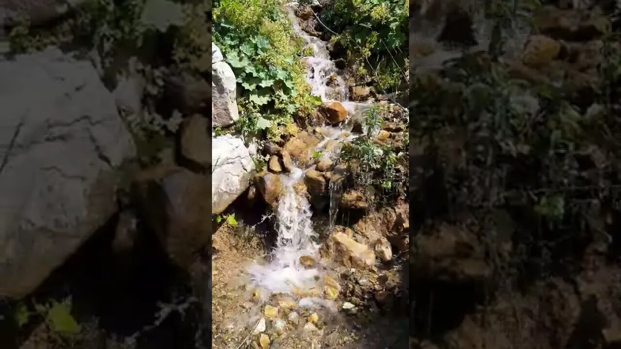 GÖZLERİNİ KAPAT... DİNLE...