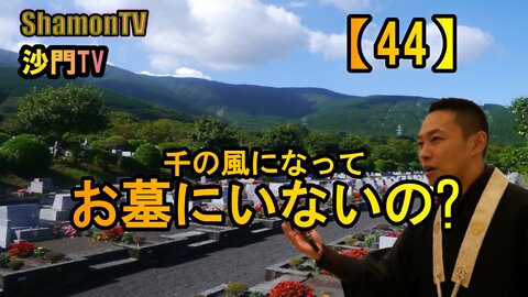 【44】千の風になって、お墓にいないの?(沙門の開け仏教の扉)法話風ザックリトーク