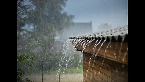 Tropical Rain - Amazon