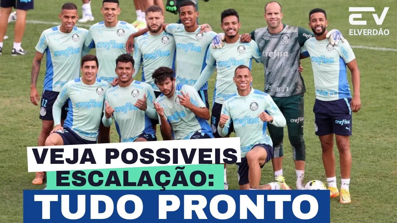 TUDO PRONTO | PALMEIRAS E ATLETIC-MG | VEJA POSSIVEIS ESCALEÇÃO: #palmeiras #palmeirasnoticias#el3my