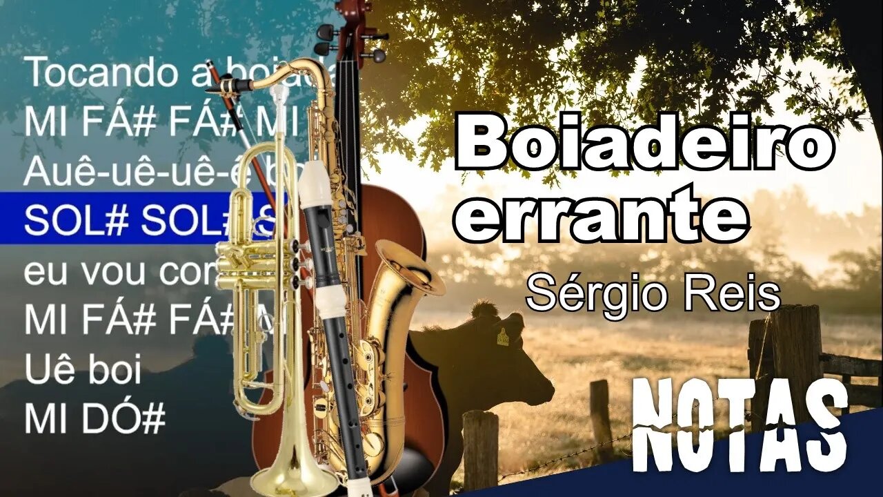 Boiadeiro errante - Sérgio Reis - Cifra melódica (C, Eb e Bb)