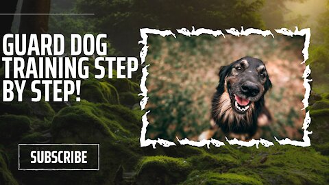Guard Dog Training Step by Step!