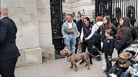 Do you use bees wax on your boots. that dog is a beast #horseguardsparade