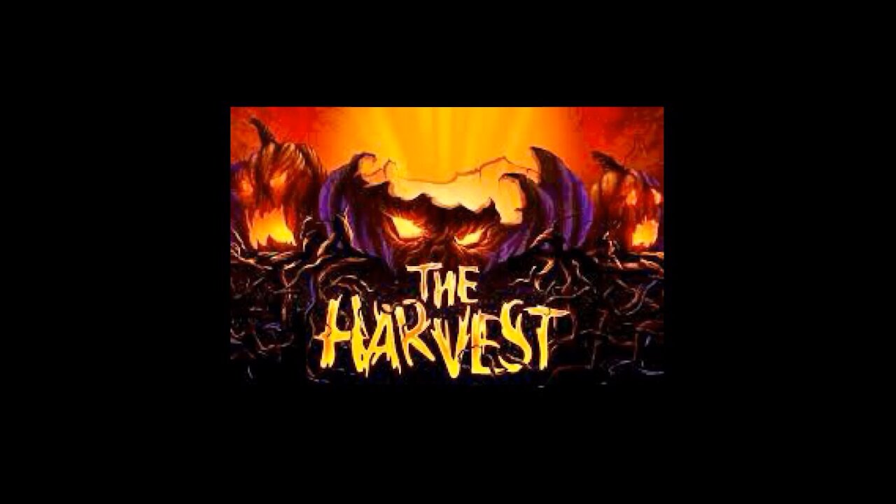 🎃The Harvest🎃