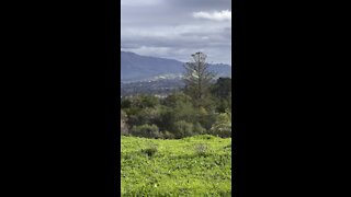 Looking Over Concord To Mount Diablo