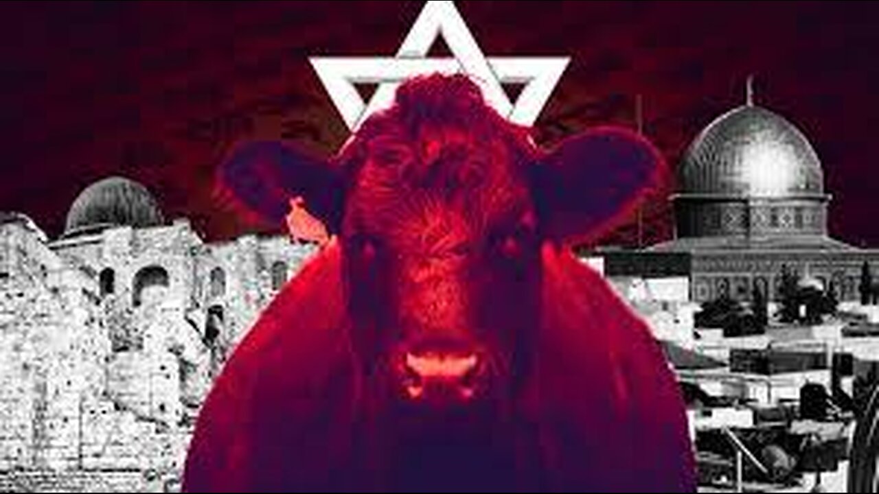 Red Heifer - Sign for the Second Coming of Jesus Christ and the Rapture