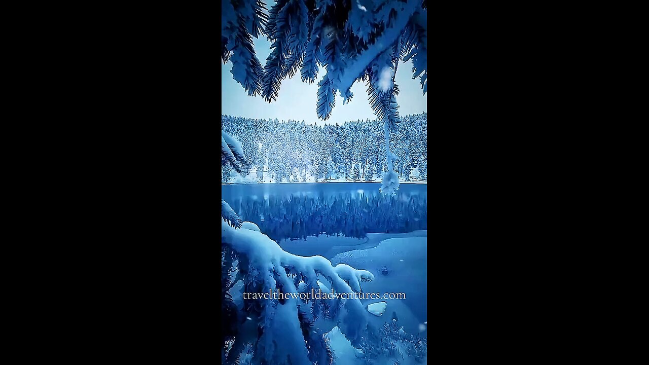 Snowfall #travel #viral #shorts