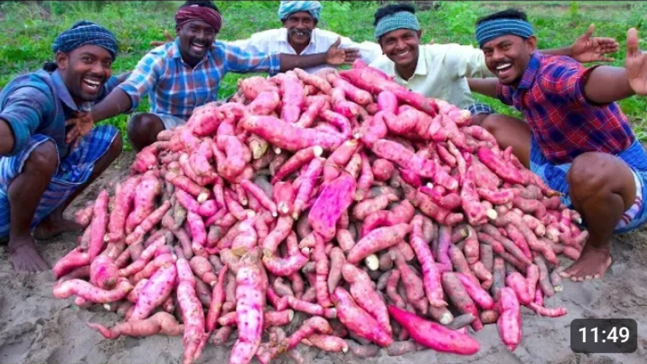 FARM_FRESH_SWEET_POTATOES_Harvesting___Cooking___Sakkaravalli_Kilangu_Kuzhi_Paniyaram_Recipe_Cooking