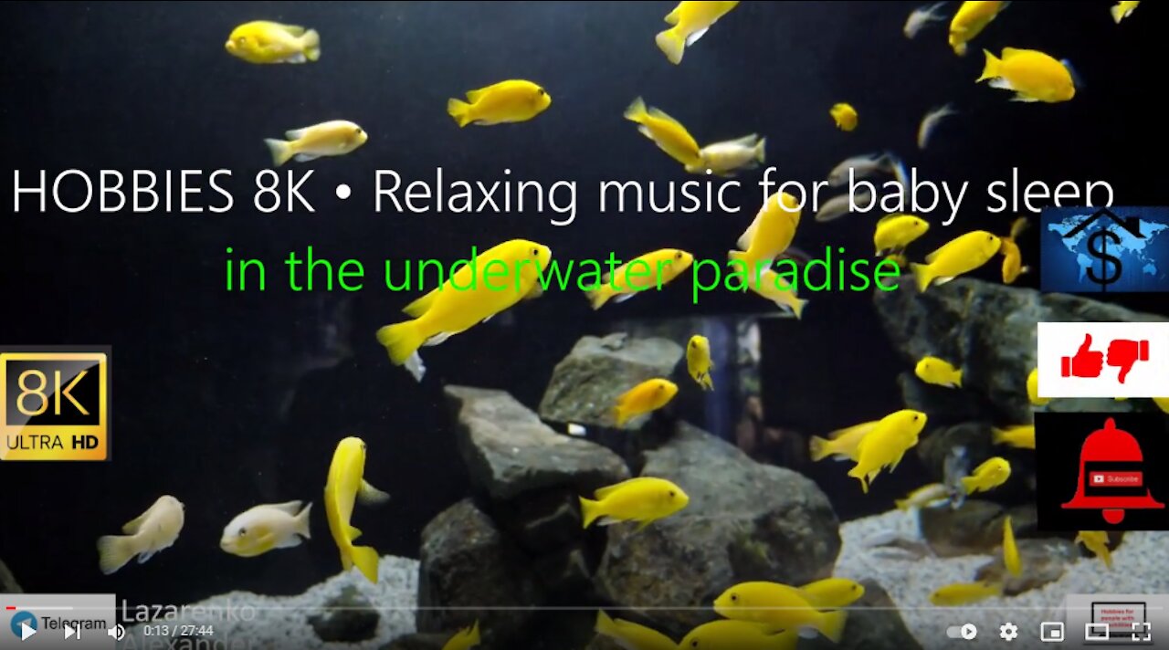 HOBBIES 8K • Relaxing music for baby sleep in the underwater paradise