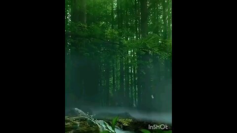 Islamic videos #islamicstatus