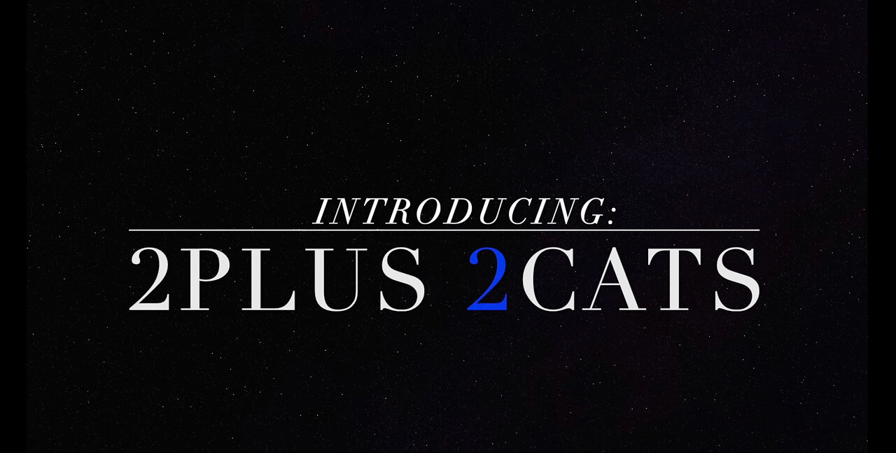 Stormy Intro to 2Plus 2Cats