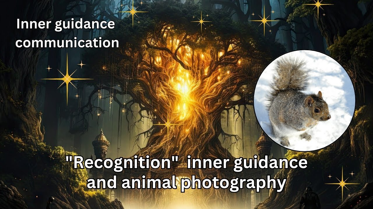 "Recognition" Inner guidance and animal photography | High vibration art and words