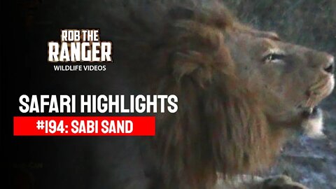 Safari Highlights #194: 05 - 09 March 2013 | Sabi Sand Wildtuin | Latest Wildlife Sightings