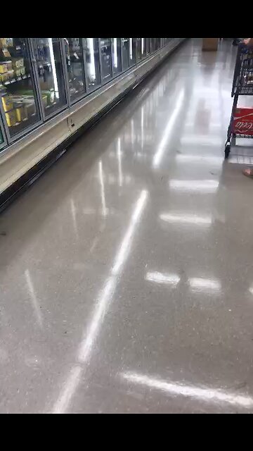 He never had a chance-Dragonfly