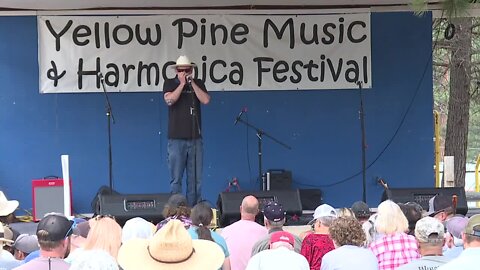 Yellow Pine Harmonica Festival returns this weekend for the 32nd time