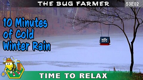 #ASMR -Rainy Winter Day - A cold gentle winter rain falls on the bee yard. Cold crisp rain.