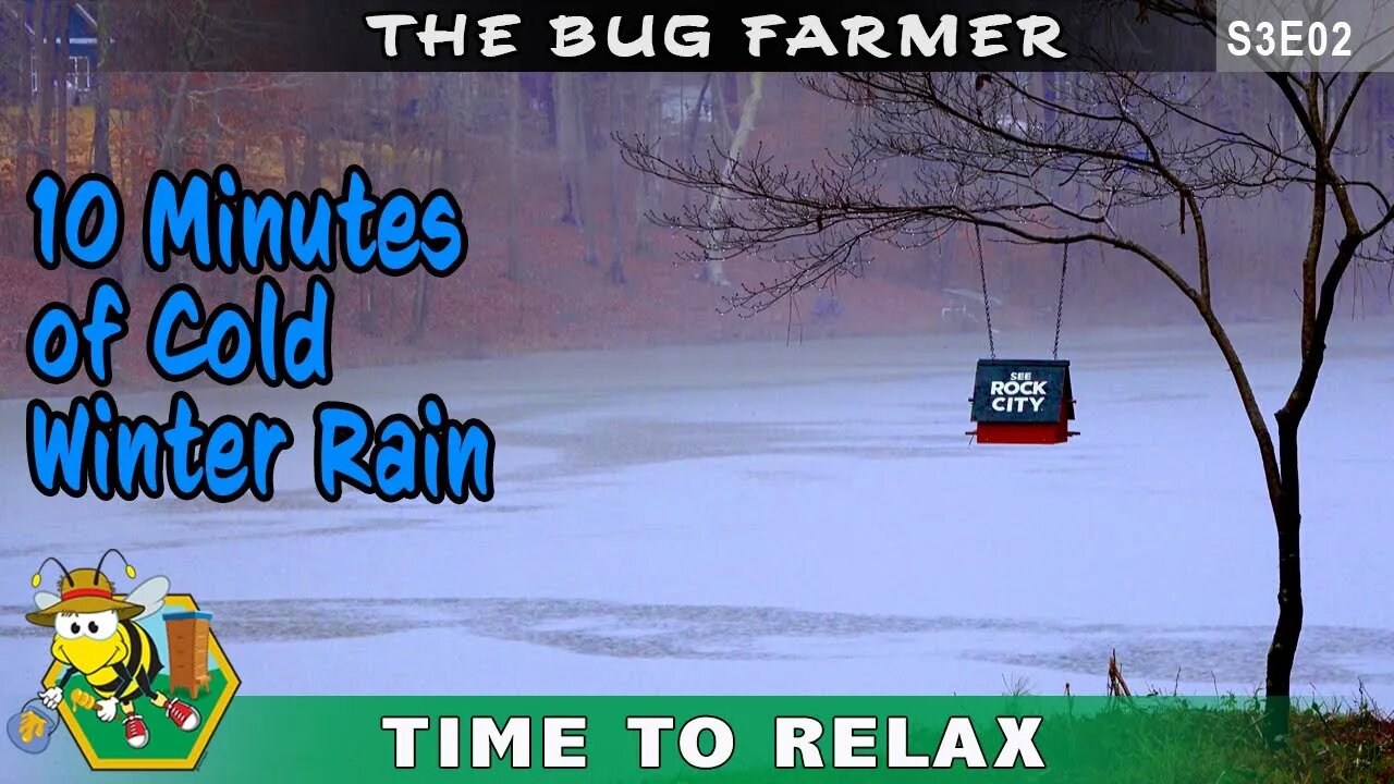 #ASMR -Rainy Winter Day - A cold gentle winter rain falls on the bee yard. Cold crisp rain.