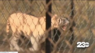 Fairview Fire threatens tiger sanctuary in Hemet