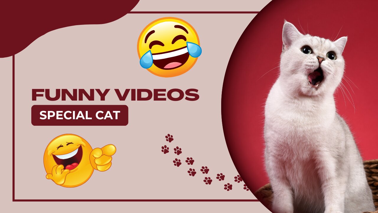 Try not to Laugh - Cute animal videos 2023