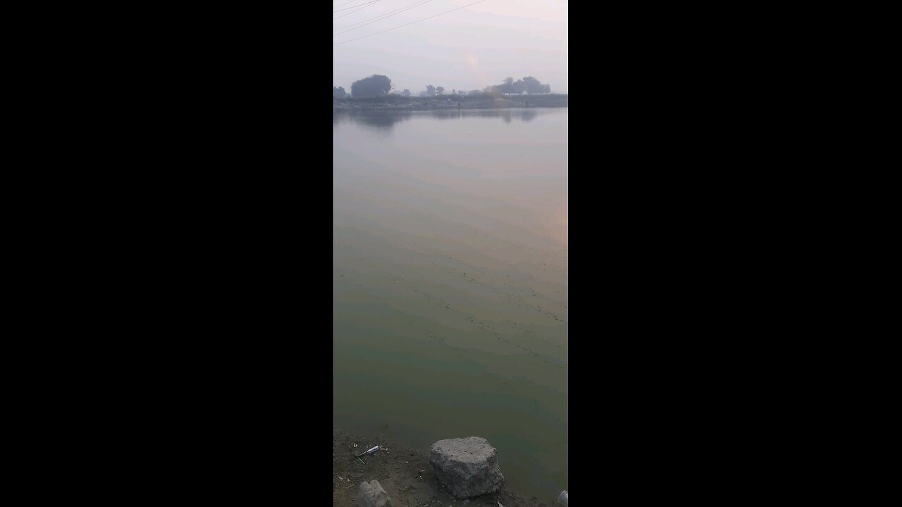 Yamuna river fishing