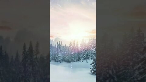 Asmr video || Asmr animals birds video || Asmr relaxing video || Asmr calming video