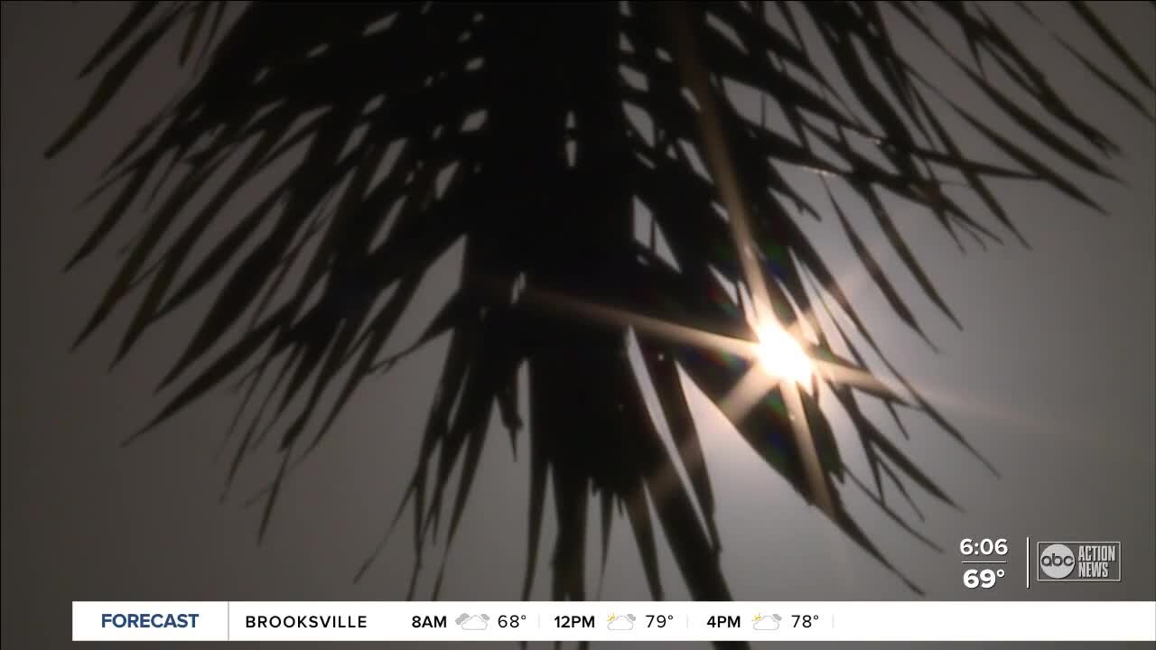 Doctors say skin cancer is on the rise as people put off screenings during pandemic
