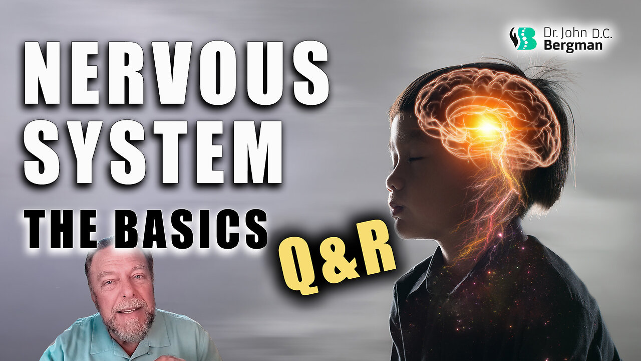 Nervous System Q&R (Timestamps Below)