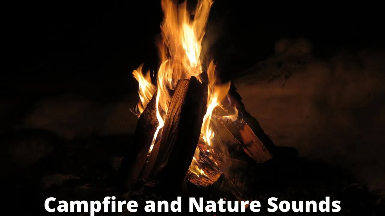 Campfire and Nature Sounds / 10 Hours of Relaxation