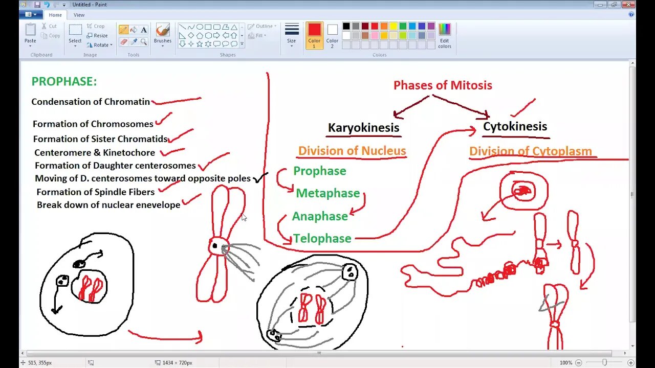 10th Bio compitation