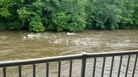 River Balcony view at Hotel in Dilsboro, NC