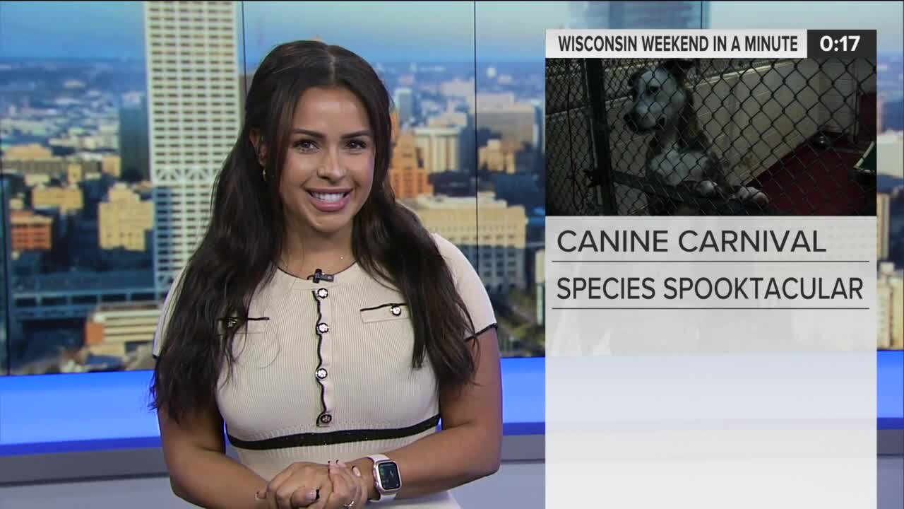Wisconsin Weekend in a Minute: Curd Fest, Fall into Grafton, Autumn Celebration
