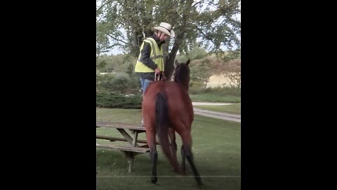 JJ - pick up rider from raised mounting platform - 28 Sept 2022