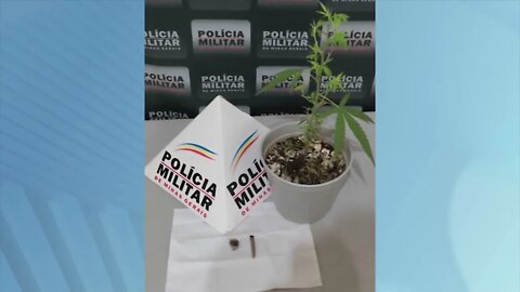 Santa Rita em Gov. Valadares: suspeito de agredir irmã no fim de semana é preso com pé de maconha