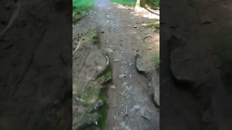 Downhill Course - Ae Forest Downhill MTB #shorts