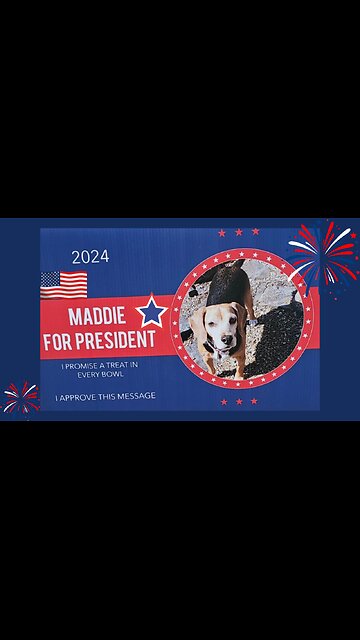 Maddie for PRESIDENT!! America's Candidate!