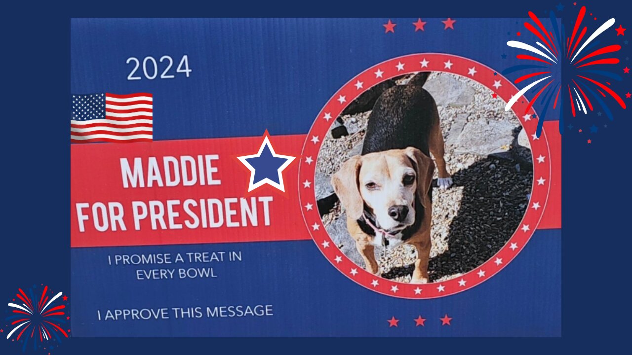 Maddie for PRESIDENT!! America's Candidate!